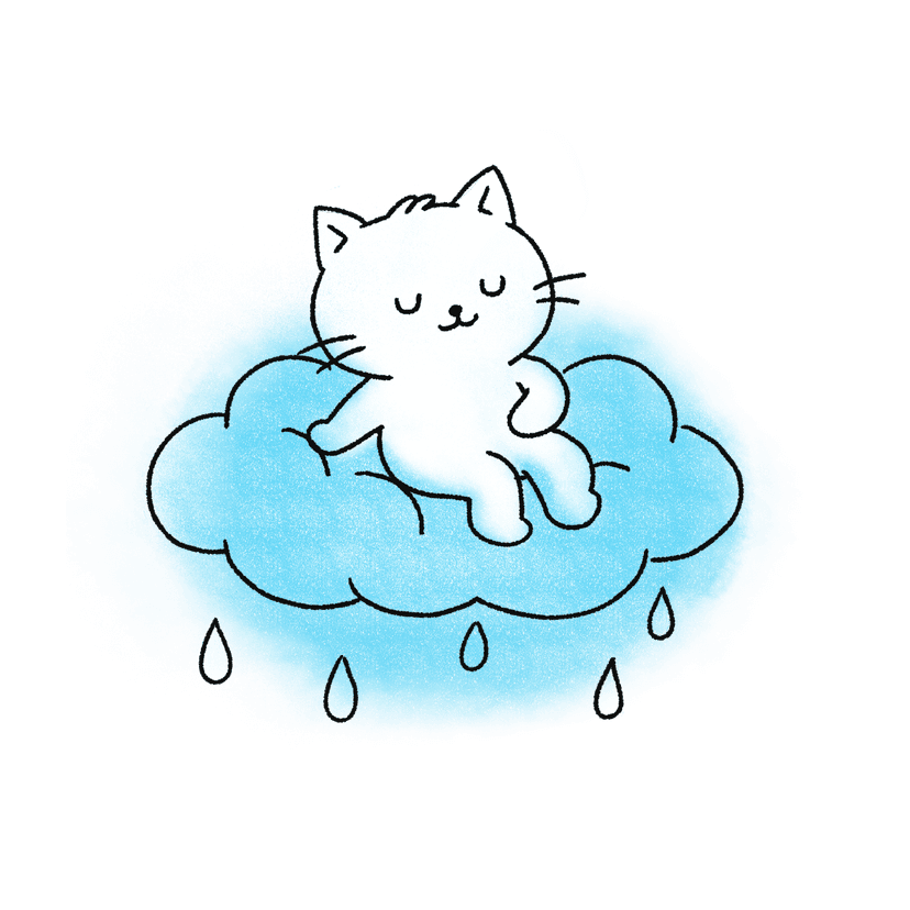 The Rain